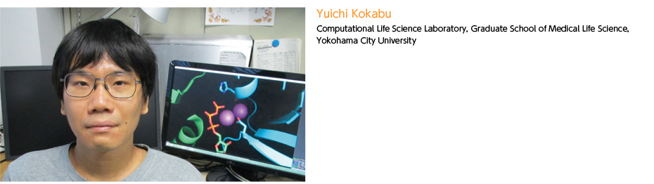 kokabu
