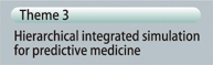 Hierarchical integrated simulation for predictive medicine