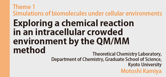 Theme 1 Simulations of biomolecules under cellular environments