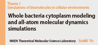 細胞内分子ダイナミクスのシミュレーション