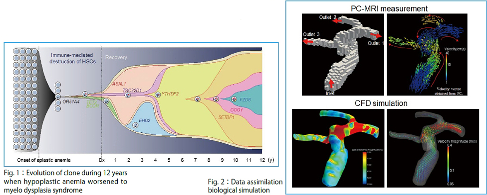 figure4