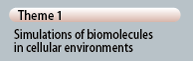 Simulations of biomolecules under cellular environments