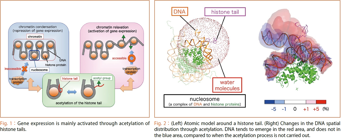 figure1