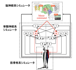 概念図