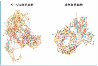 課題4画像02