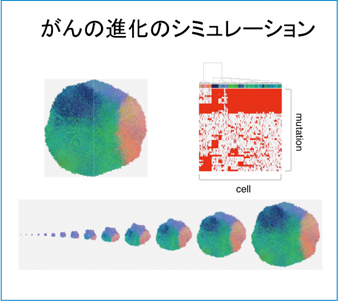 がんの進化シミュレーション