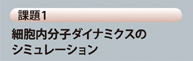細胞内分子ダイナミクスのシミュレーション