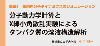 細胞内分子ダイナミクスのシミュレーション