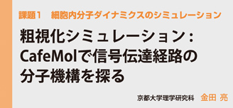 細胞内分子ダイナミクスのシミュレーション