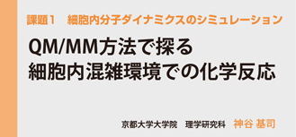 細胞内分子ダイナミクスのシミュレーション