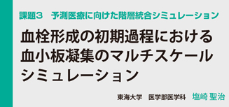 細胞内分子ダイナミクスのシミュレーション