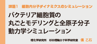 細胞内分子ダイナミクスのシミュレーション