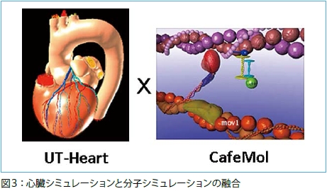 心臓シミュレーションと分子シミュレーションの融合