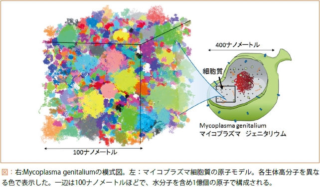 figure1