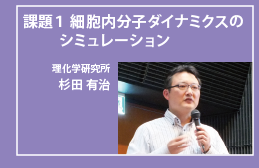 細胞内分子ダイナミクスのシミュレーション