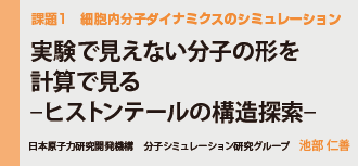 細胞内分子ダイナミクスのシミュレーション