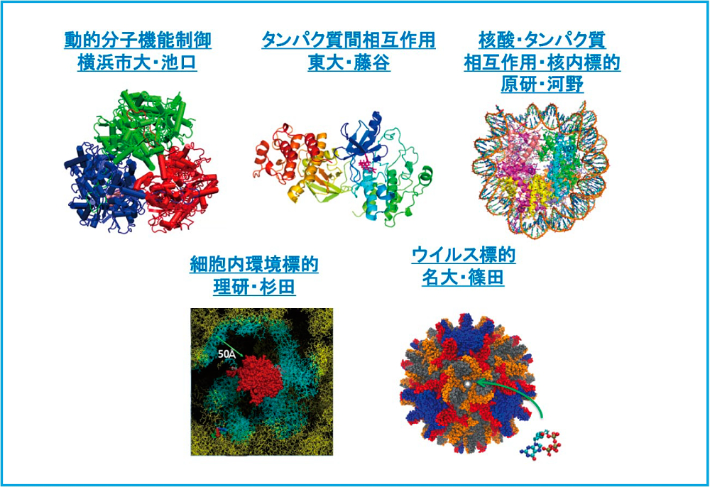 次世代創薬計算技術の開発