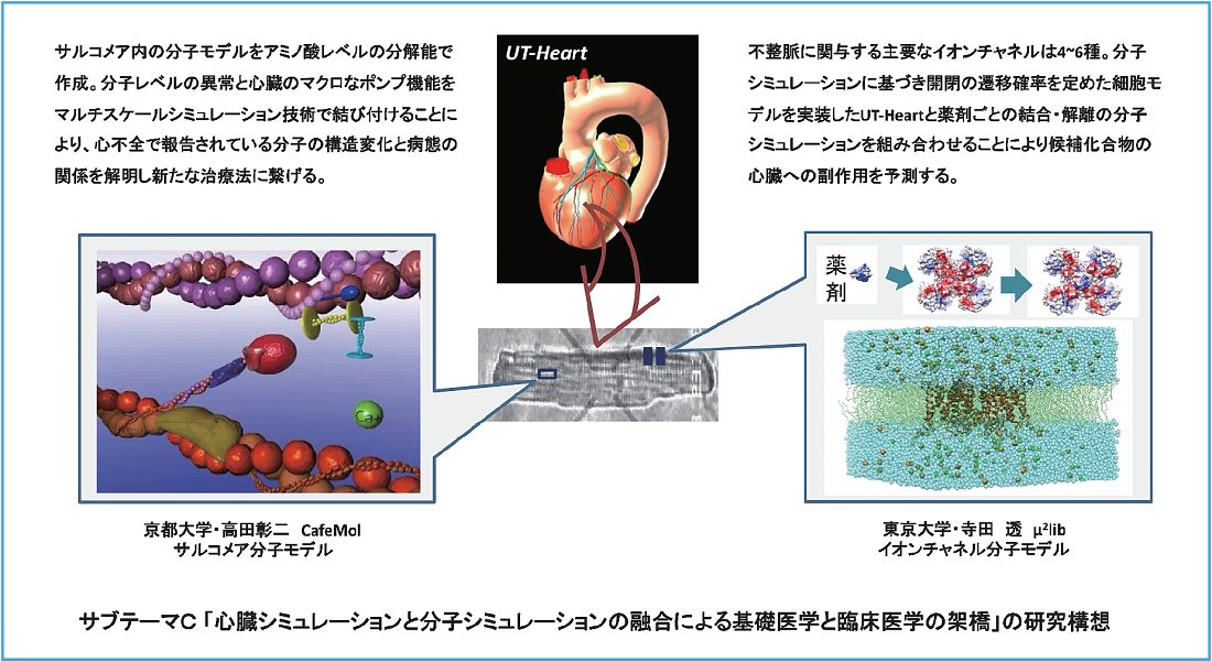 サブテーマCの研究構想