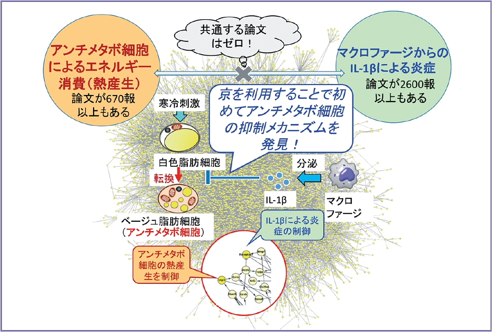 figure1