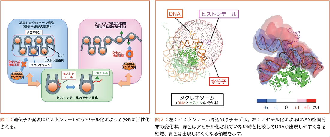 figure1