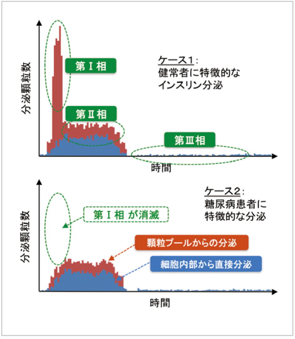 シミュレーション結果