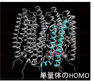 Protein DF ータンパク質全電子計算