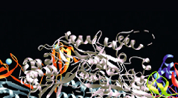 Simulations of biomolecules under cellular environments