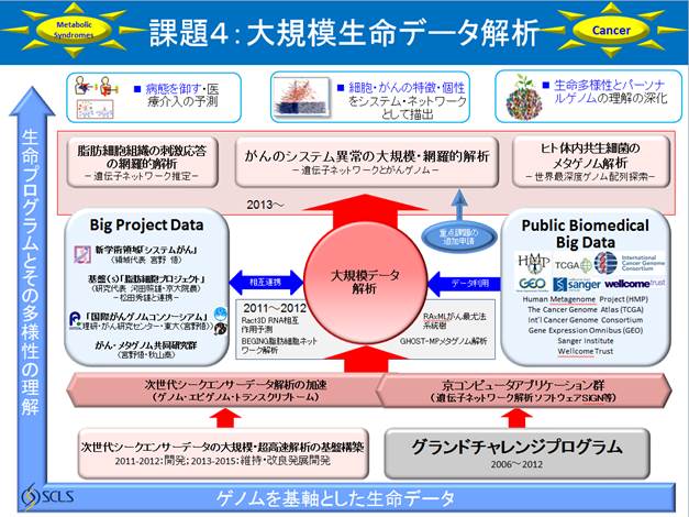 大規模生命データ解析