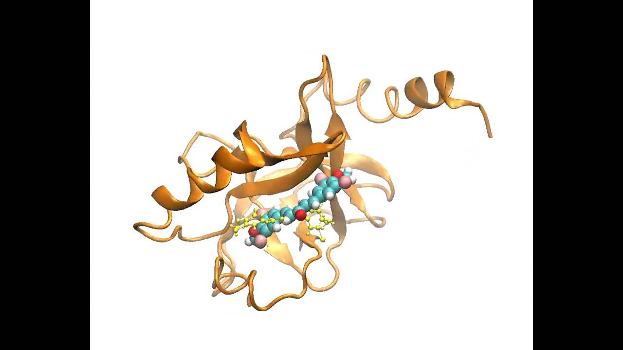 タンパク質と化合物の相互作用をシミュレーション