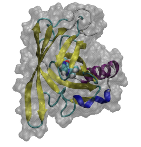 theme2_2012Fig.1_en