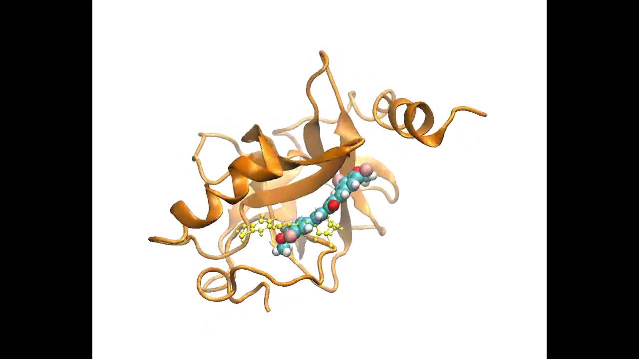 Simulation of protein-compound interaction